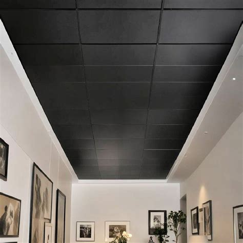 25 Black Ceiling Ideas You Should Consider
