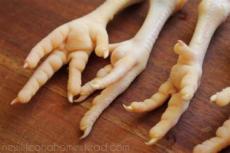 How To Peel Chicken Feet, and Prepare Them To Cook • New Life On A ...