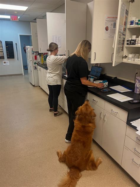 Mechanicsville Animal Hospital (@mechanicsvilleanimalhospital ...