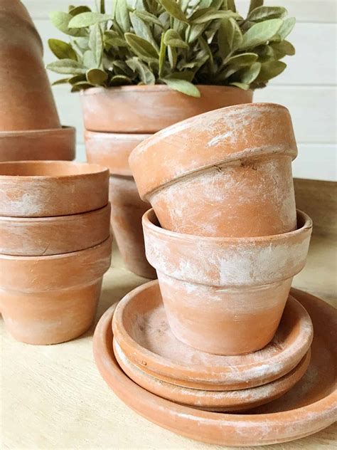 How Do You Make A Terracotta Pots at Sarah Gooding blog