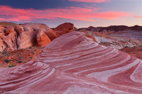 Fire Wave | Valley of Fire State Park, Nevada. | Photos by Ron Niebrugge - wildlife in valley of fire state park