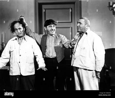 THE THREE STOOGES LARRY FINE, MOE HOWARD, CURLY HOWARD American ...