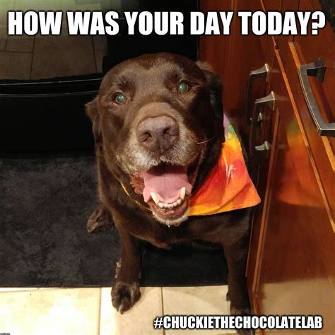 How was your day? - Imgflip