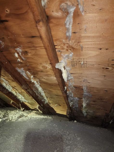 How to Get Rid of Mold in Your Attic Yourself