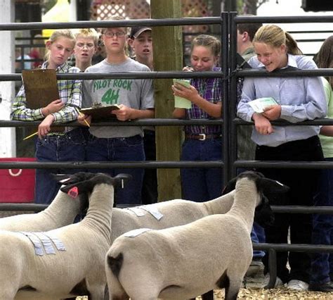 Umatilla County Fair to restrict smoking this year, ban it in 2014 ...