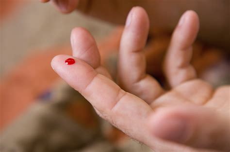 Do You Know the Amount of Blood in Human Body? | New Health Advisor