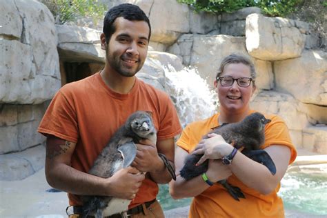Internship Programs | Dallas Zoo