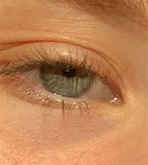 Pin on * marina / the halcyon