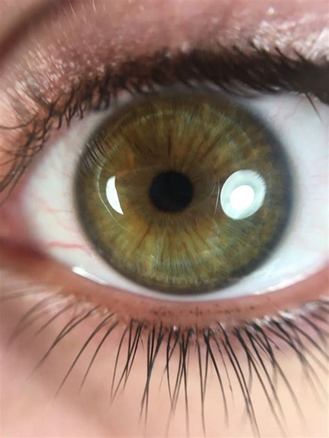 Color De Ojos Verde Oscuro Para Los Que Me Conocen Bien, Tengo Ojos