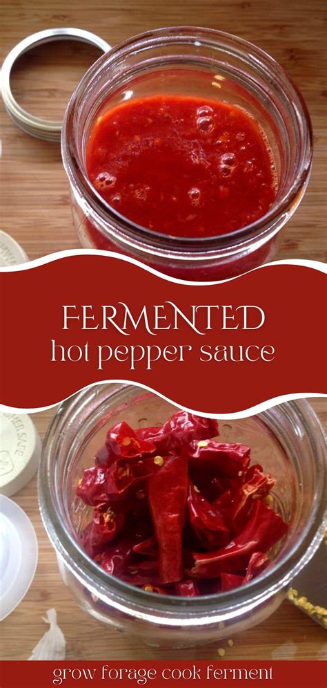 Chili pepper hot sauce recipe – Artofit