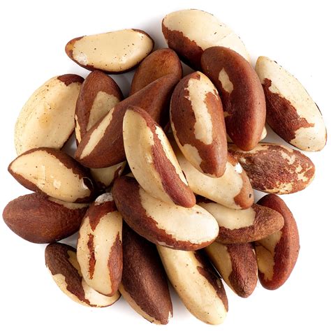 Amazon.com: Brazil Nuts Raw Organic Unsalted - Organic Brazil Nuts ...