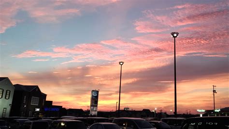 UMINEKO MEOWS. COM: When Old Success Stories Don’t Fit the Present