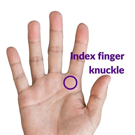 Forehand Grips (How To Choose Right One)