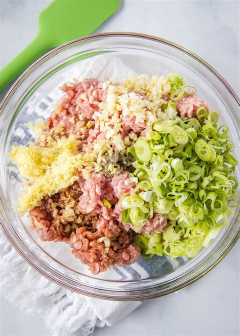 Steamed Pork Dumplings Recipe