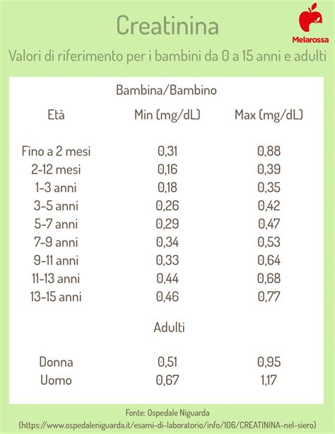 Creatinina: a cosa serve, valori, dieta, cosa mangiare quando è alta