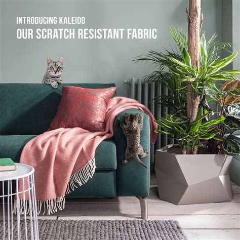 Comfy Sofa | Rom 1961, European Sofa Manufacturer | Pet friendly living ...