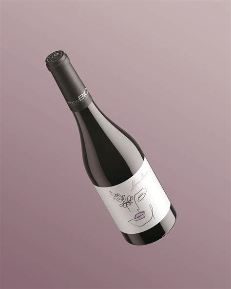 Llueve, Llueve - Vino Biodinámico