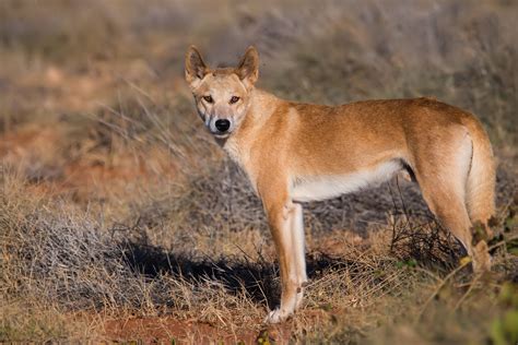 Looking after our Environment