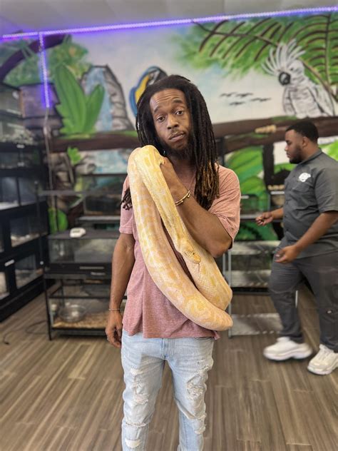 Natty Love The Constrictors! : r/knotnation