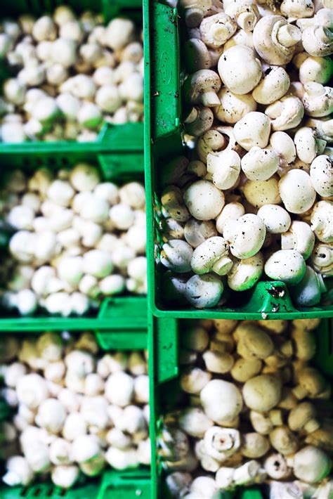 ToJo_select_026_KF - Farmers Restaurant Group
