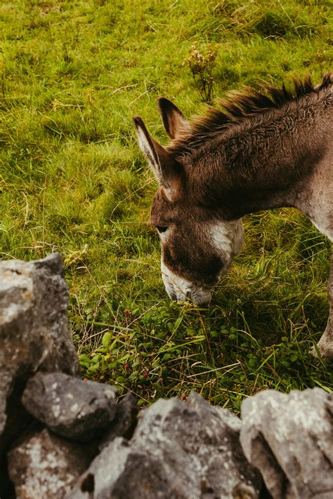 Anime+Big+Boobs+Bikini Photos, Download The BEST Free Anime+Big+Boobs ...