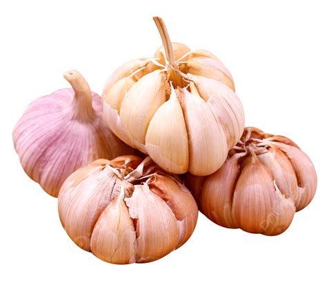 What Is Ajo In English at Joseph Heil blog