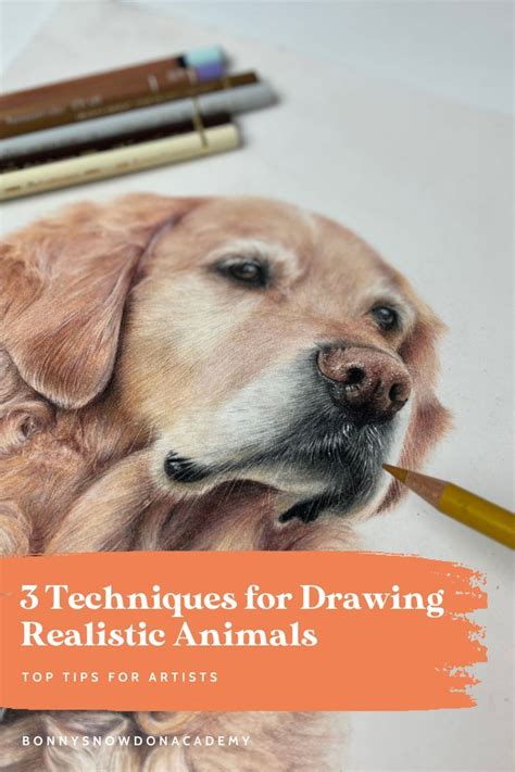 Learn How to Draw Realistic Animals with These 3 Techniques