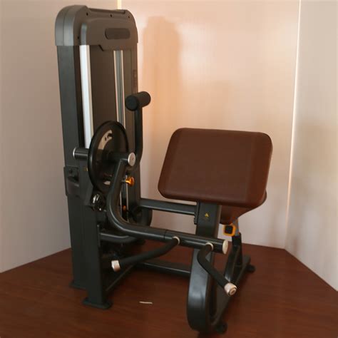 Sunsforce Pin Load Selection Machines Dual Functional Biceps Curl/Triceps Extension Machine ...