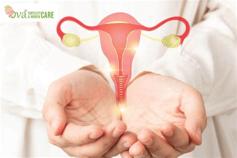 IUI Treatment in Thane: Process, Success Tips & What to Avoid After ...
