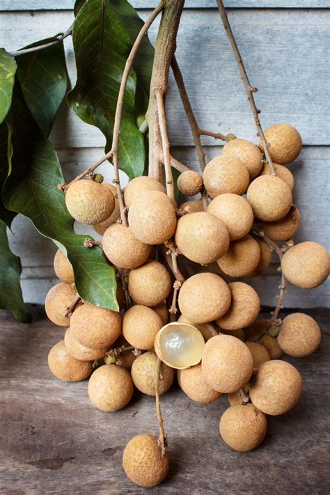 Longan