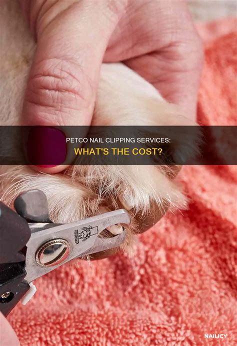 Petco Nail Clipping Services: What's The Cost? | Nailicy