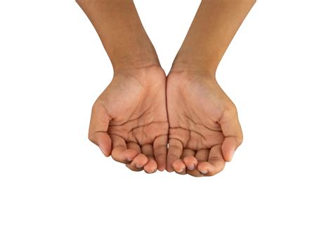 two hands holding something isolated 21285701 PNG