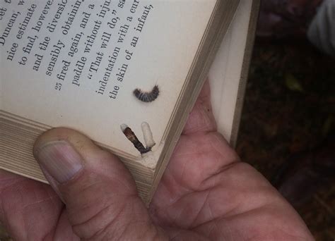 Unabashed bookworms | The River Reporter