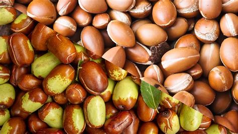 Top 8 Designer Boutiques & Concept Stores in Marrakech