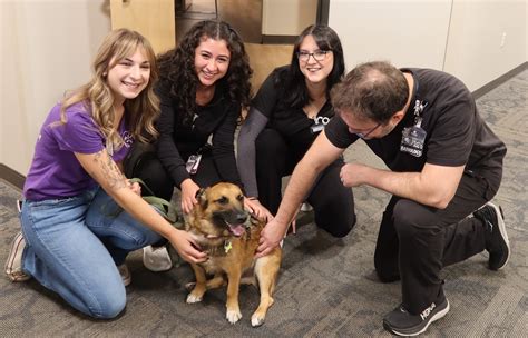 ROC - October SPCA Partner of the Month🐾 - Reno Orthopedic Center