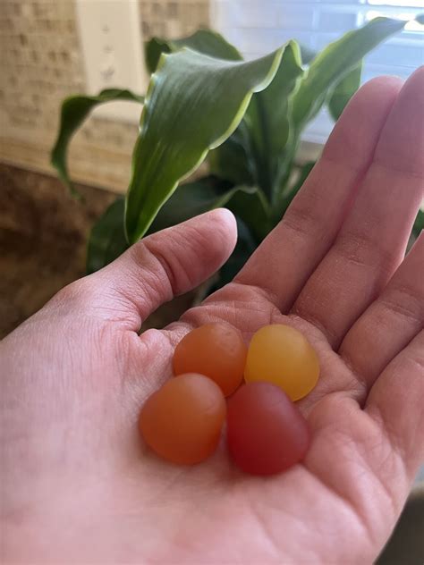 What you do today, affects your egg health 4-5 months from now ...