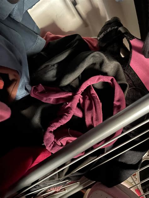 Had to let out the neighbors dog while they were gone for the day ...