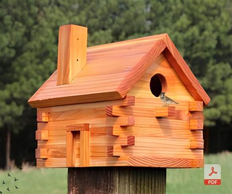 DIY Bird House Plans,birdhouse Plans,birdhouse Handmade,large Bird ...
