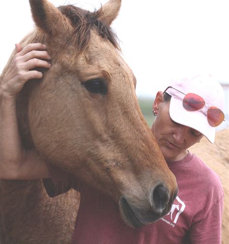 Weird But True Horse Facts: Anatomy | Habitat For Horses