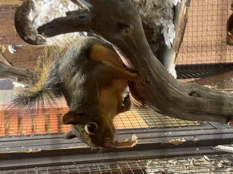 About Us - Perfect Climate