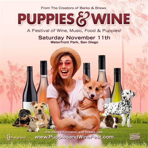 Festival Promo & Discount Codes - Discotech - The #1 Nightlife App