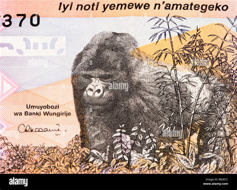 5000 Rwandan francs of Rwanda. Rwandan francs is the national currency of Rwanda Stock Photo - Alamy