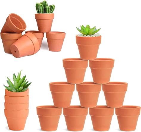 HDKAJL 20Pcs Small Terracotta Plant Pots, 4.8cm Mini Flower Pots,Small ...