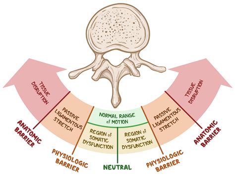 Diagnostic skills | Osmosis
