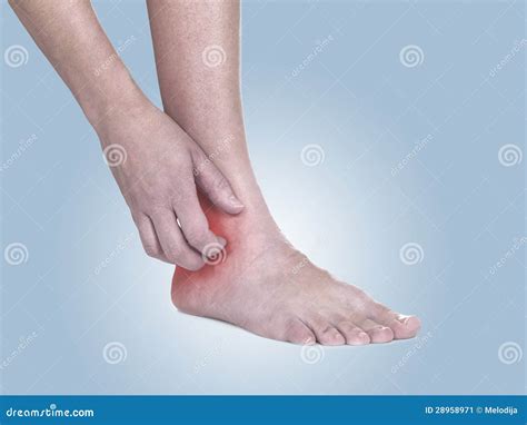 Itchy Ankle Photos - Free & Royalty-Free Stock Photos from Dreamstime