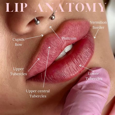 Pin by Natalie Page Aesthetics Academ on Treatment | Lip fillers, Blush for dark skin, Lip ...