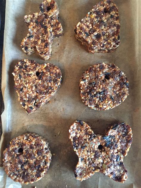 Life At A Gallop | DIY Wild Bird Seed Cakes | Blog DIY in 2025 | Seed ...
