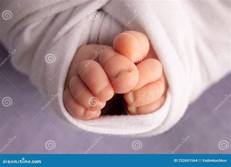 Soft Feet of a Newborn in a White Blanket and on a Purple Background ...