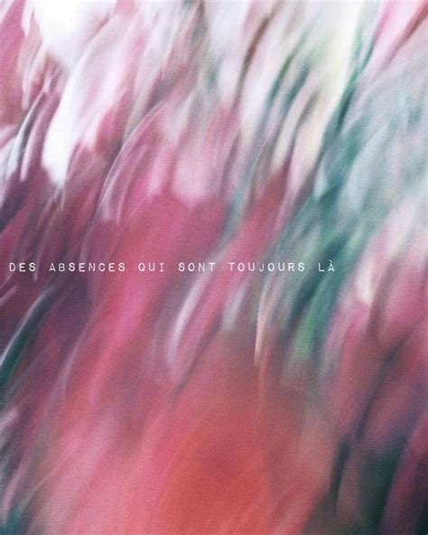 Jonas Paz-Benavides (@jonas.cronopio) • Instagram photos and videos