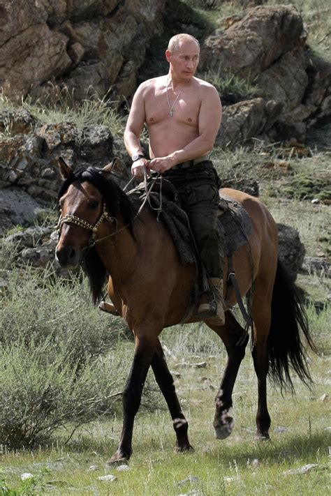 World Photo Caption Contest: Shirtless Vladimir Putin On A Horse | HuffPost